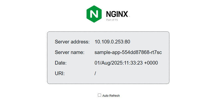 Check the Nginx application status