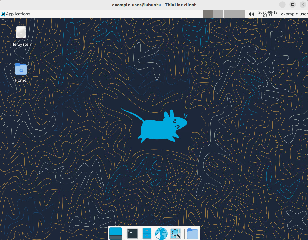 Ubuntu Desktop Session