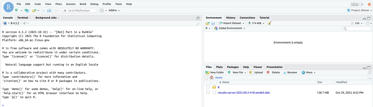RStudio Server Console