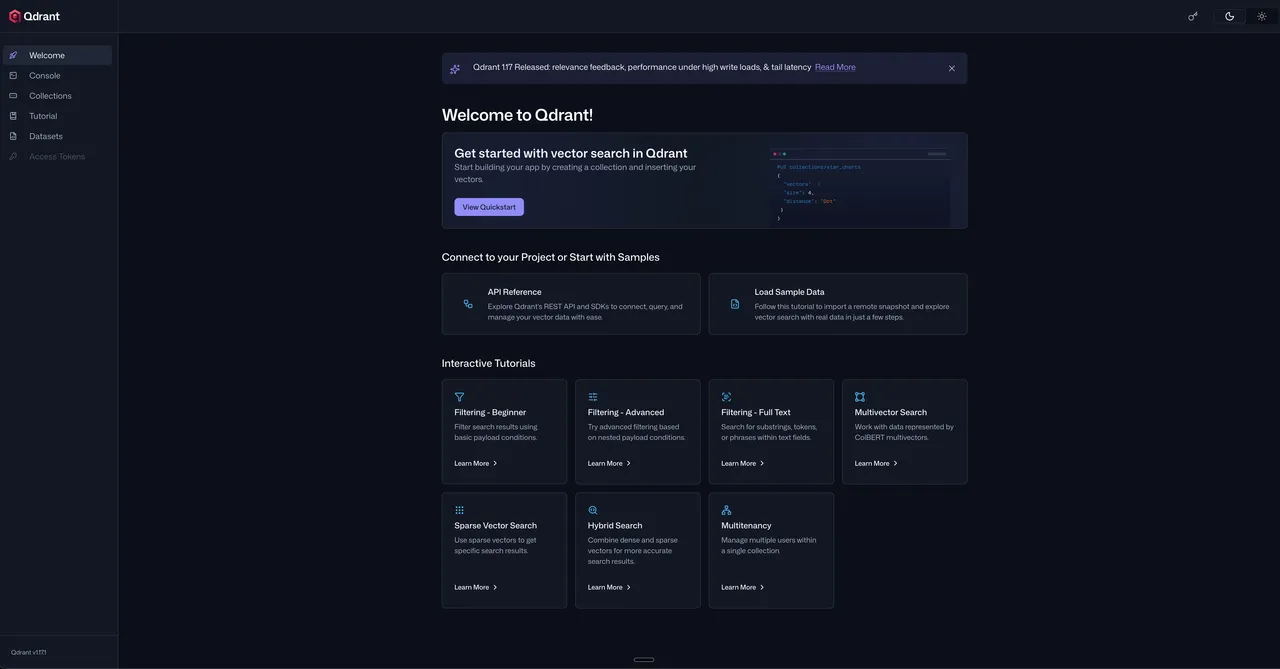 Qdrant dashboard